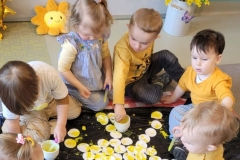 received_2317528095396924