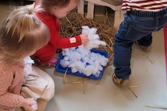 received_1637476257246896