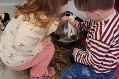 received_1668393380822454