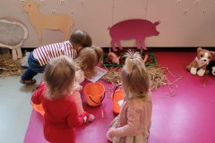 received_25588293684200503