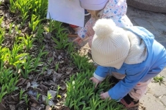 received_1277632361133248