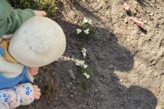 received_1588537939020825