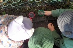 received_1621220419027498