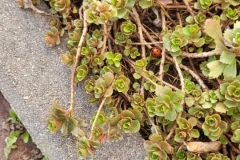 received_1630150001447292