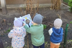 received_1669357564057754